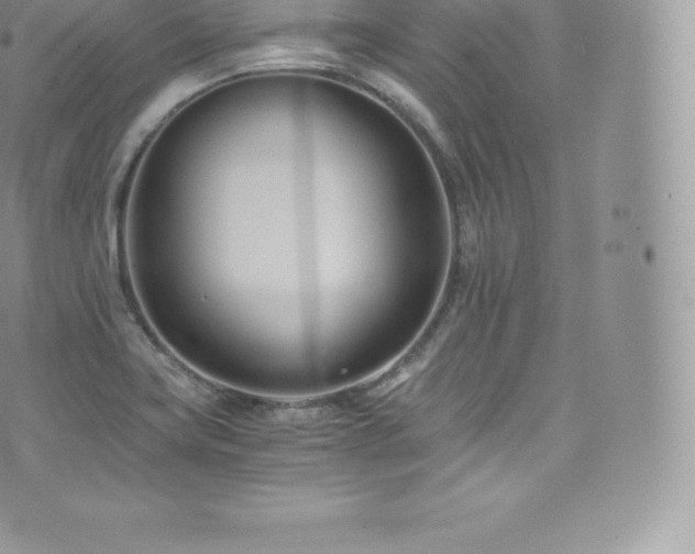 X0000073901419200608111119