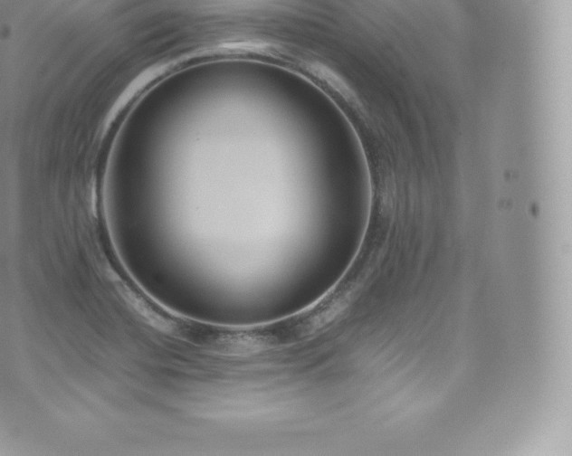 X0000073901420200608111119