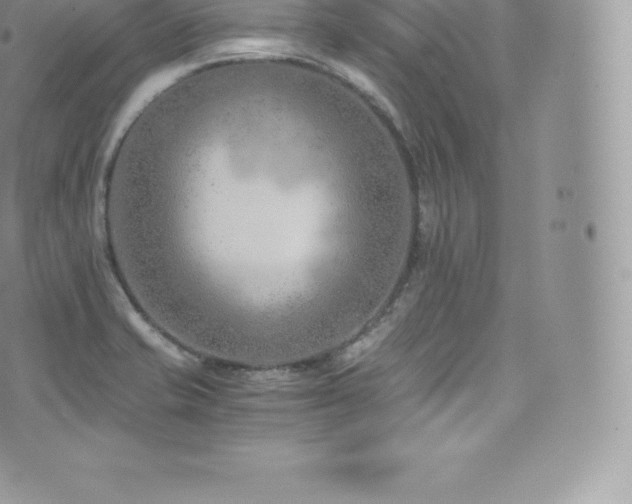 X0000073901421200608111119