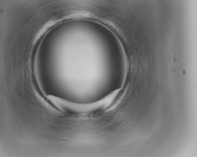 X0000073901422200608111119