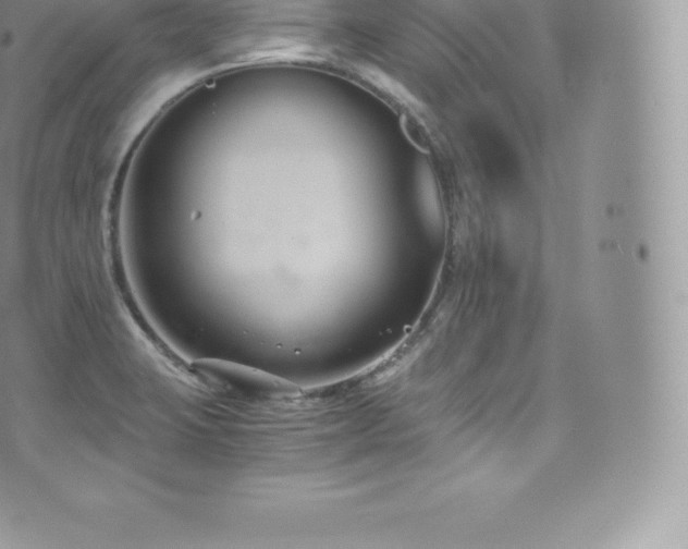 X0000073901423200608111119