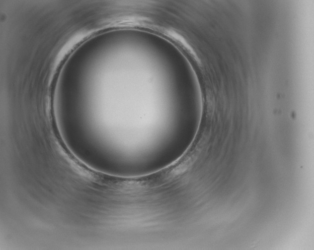 X0000073901424200608111119