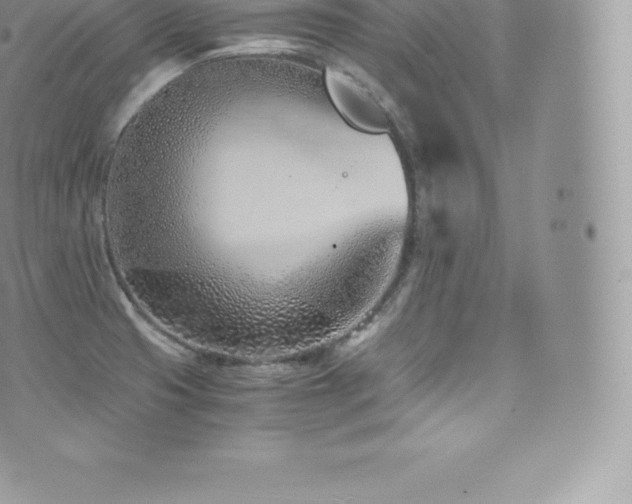 X0000073901425200608111119