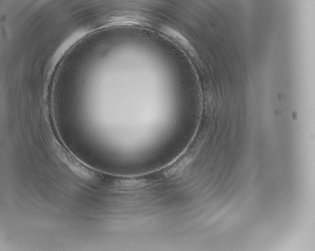 X0000073901427200608111119