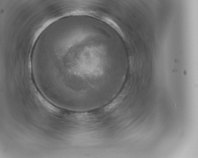 X0000073901428200608111119