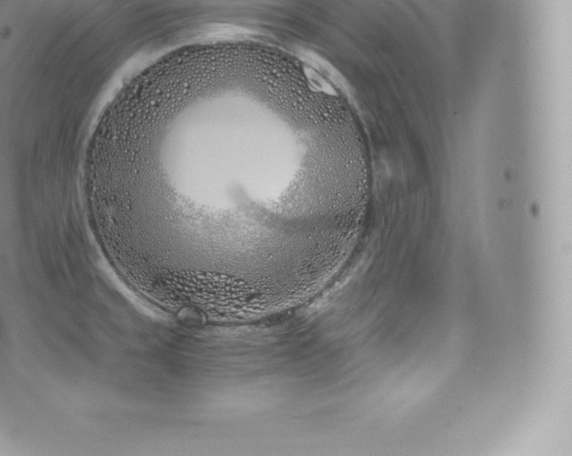 X0000073901429200608111119