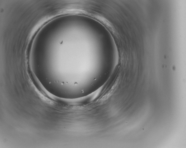 X0000073901430200608111119