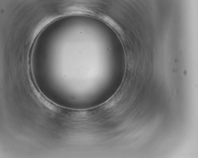 X0000073901431200608111119