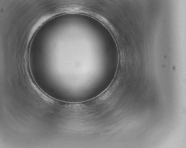 X0000073901432200608111119