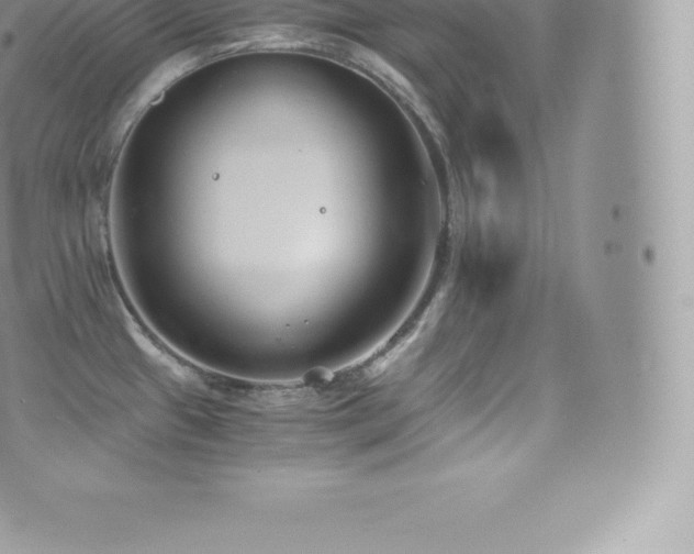 X0000073901433200608111119