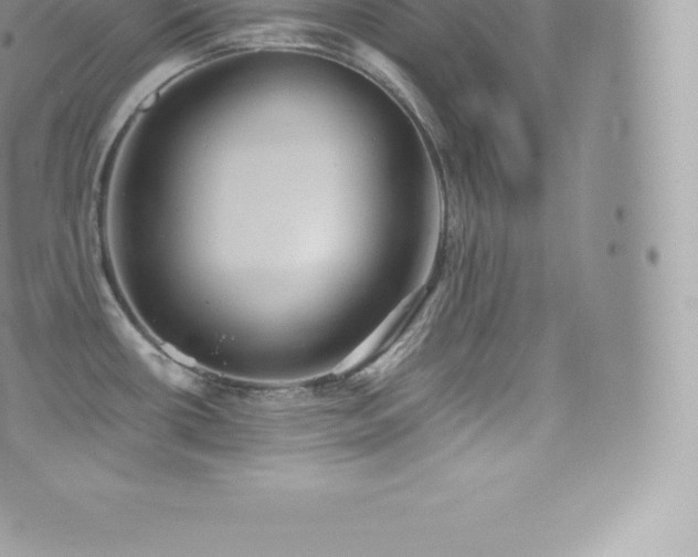 X0000073901434200608111119