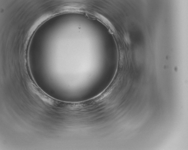 X0000073901435200608111119