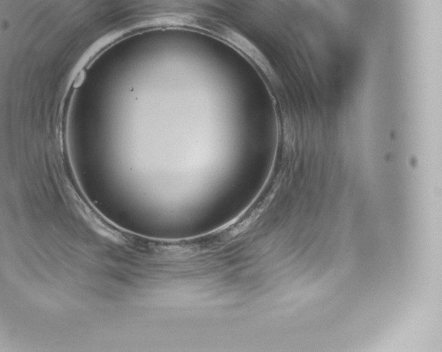 X0000073901436200608111119