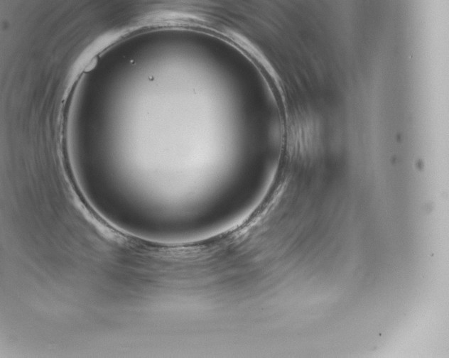 X0000073901437200608111119