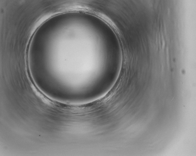 X0000073901439200608111119