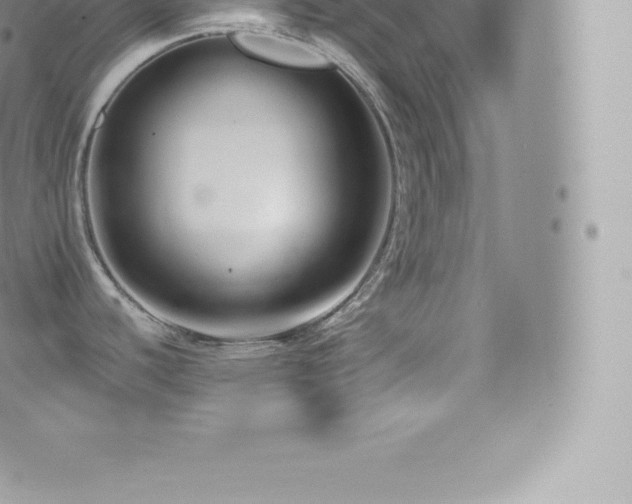 X0000073901440200608111119