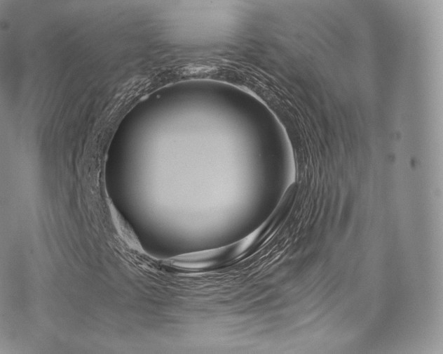 X0000073901441200608111118