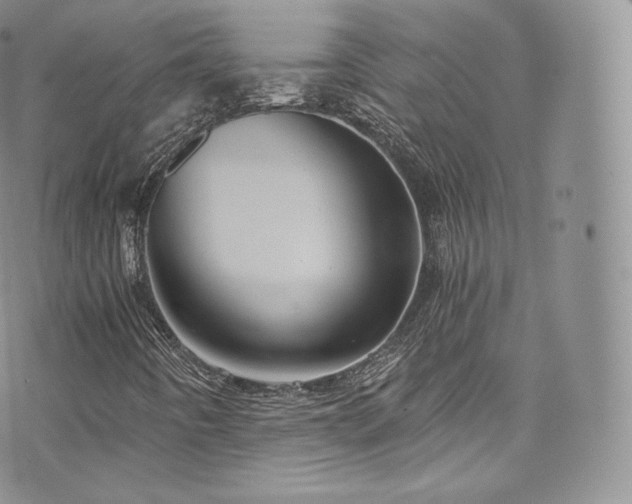 X0000073901442200608111118