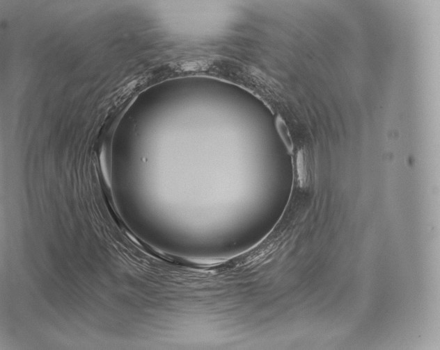 X0000073901443200608111118