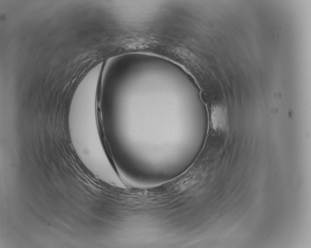 X0000073901444200608111118