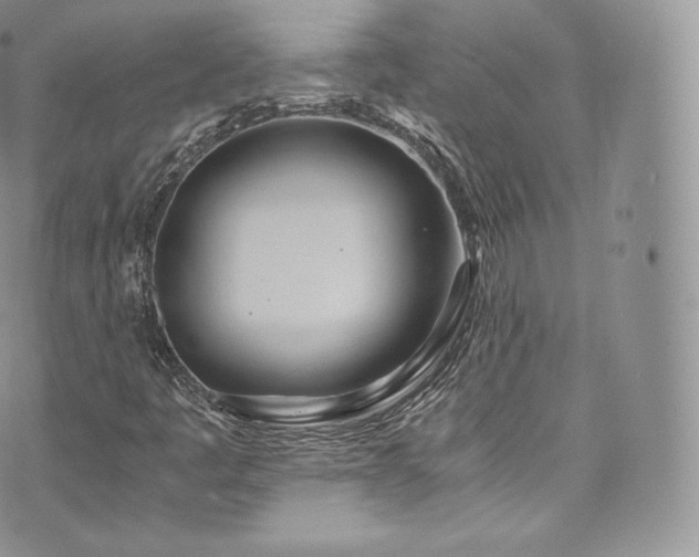 X0000073901445200608111118