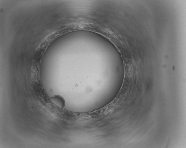 X0000073901446200608111118