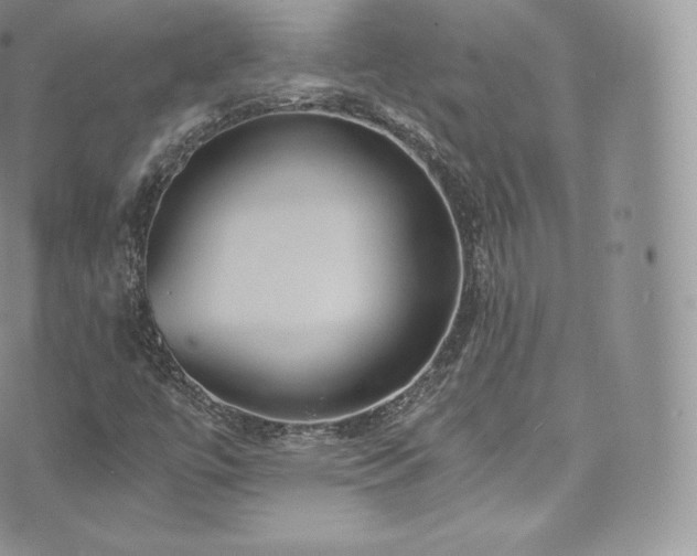 X0000073901447200608111118