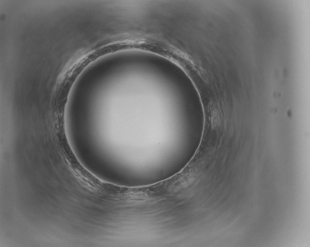 X0000073901448200608111118