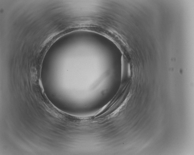 X0000073901449200608111118