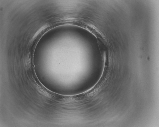 X0000073901450200608111118