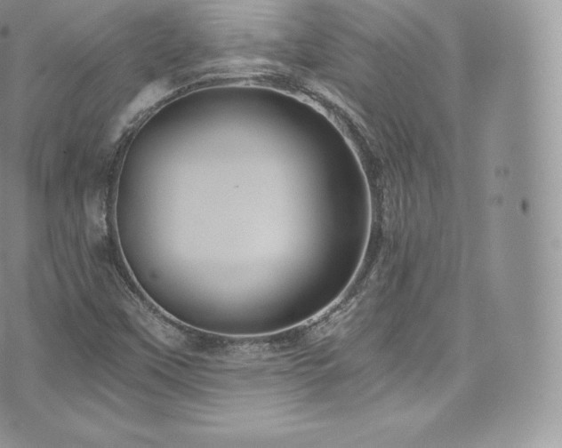 X0000073901451200608111118