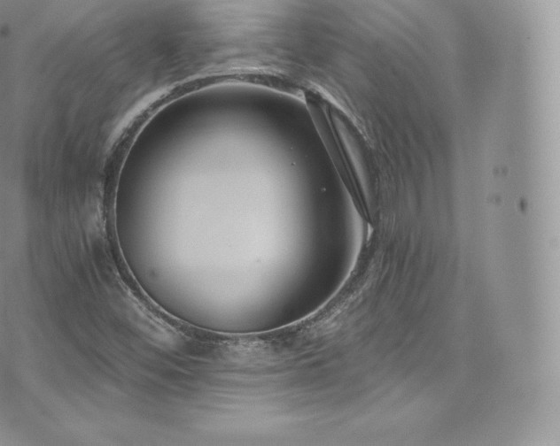 X0000073901452200608111118