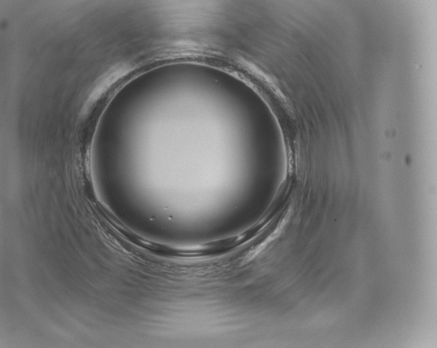 X0000073901453200608111118