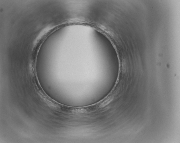 X0000073901454200608111118