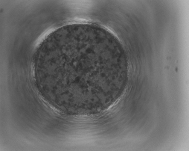 X0000073901455200608111118