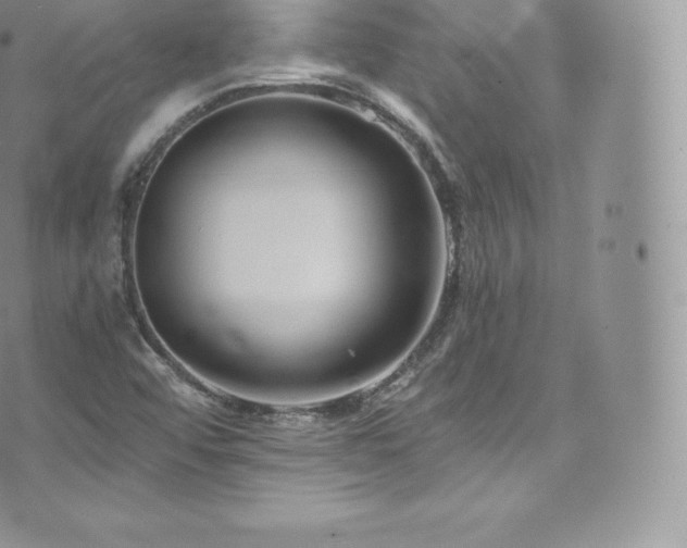 X0000073901456200608111118