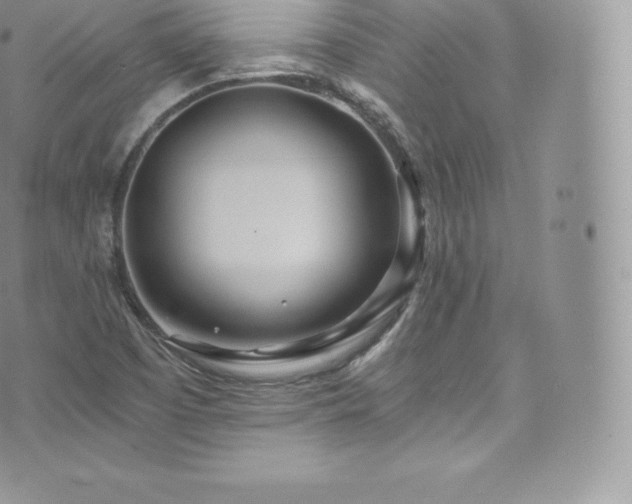 X0000073901457200608111118