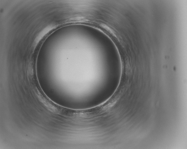 X0000073901458200608111118