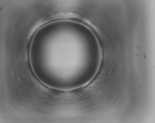 X0000073901459200608111118