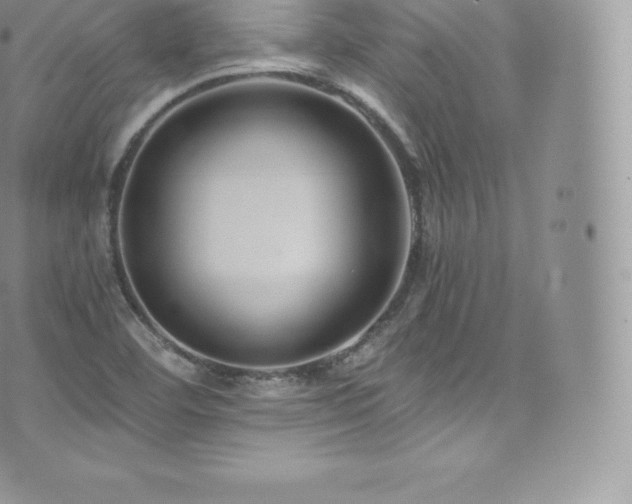 X0000073901460200608111118