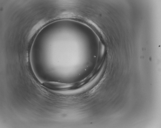 X0000073901461200608111118