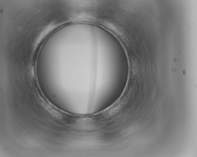 X0000073901462200608111118