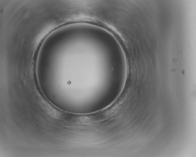 X0000073901463200608111118