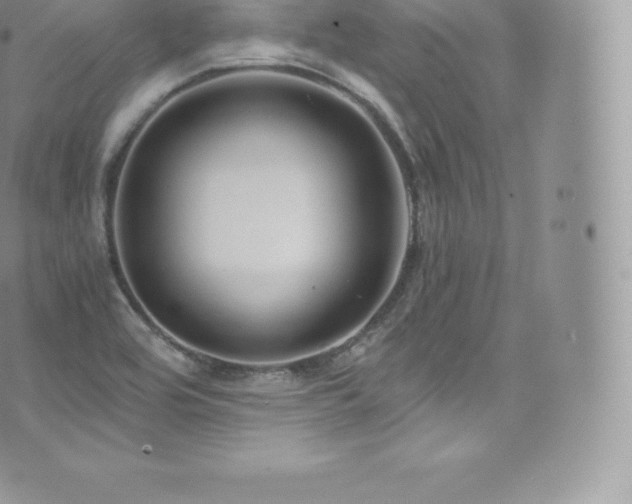 X0000073901464200608111118