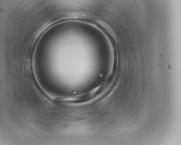 X0000073901465200608111118