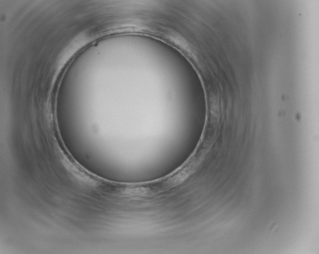 X0000073901466200608111118