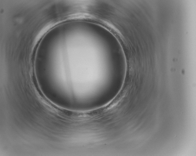 X0000073901467200608111118