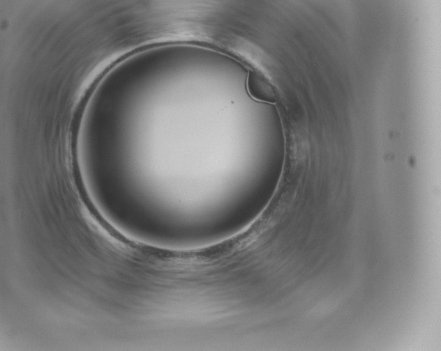 X0000073901468200608111118