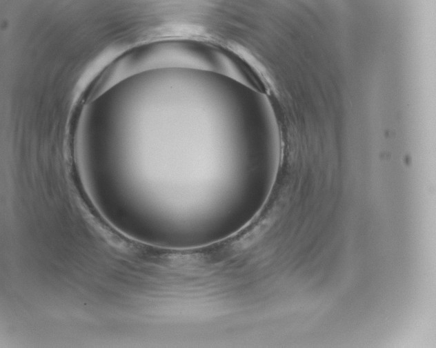 X0000073901469200608111118