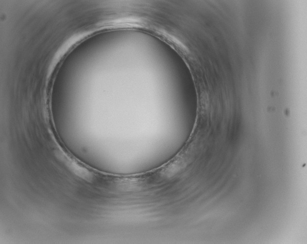 X0000073901470200608111118